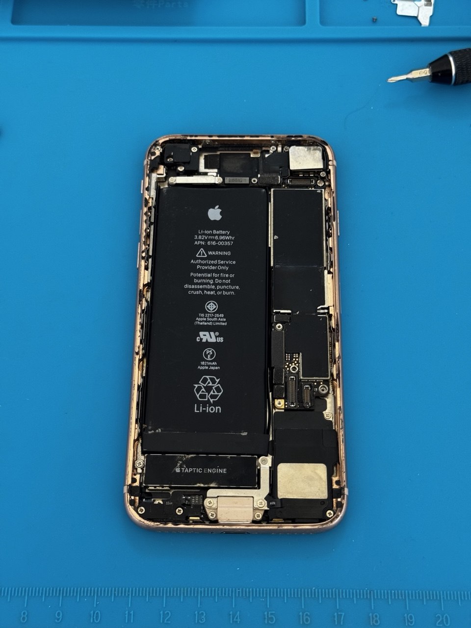 iPhone en la galería de Cellhouse